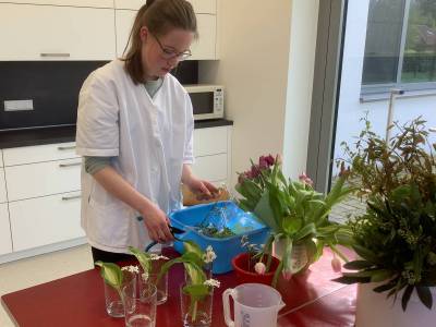 Hier entsteht etwas für's Auge - Tischdekoration. Das Auge isst mit :o)