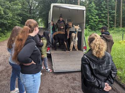 PXL_20240525_071726403_original