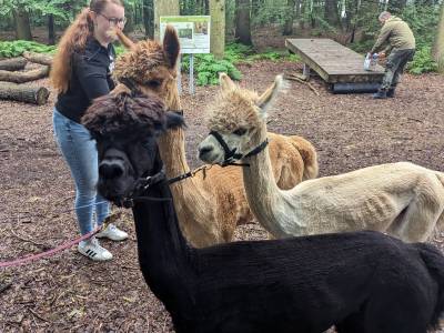 PXL_20240525_072527228_original