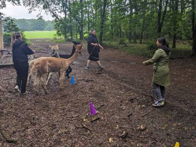 PXL_20240525_073421697_original