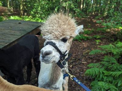 PXL_20240525_074211953_original