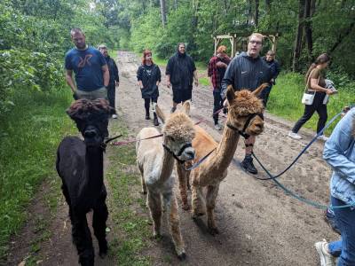 PXL_20240525_084842549_original