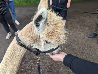 PXL_20240525_085944657_original