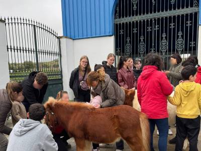 Sevilla15_original_copy_1