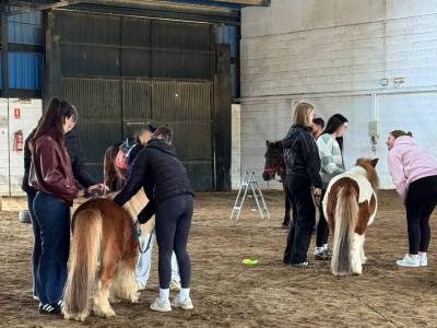 Sevilla2_original_copy_1